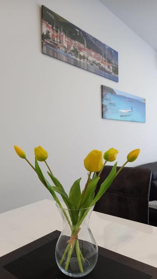 Lux Apartman Antonija マカルスカ エクステリア 写真